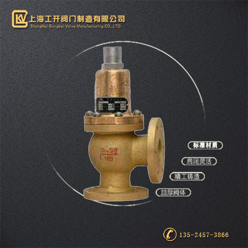 WA42Y型弹簧全启封闭式波纹管安全阀