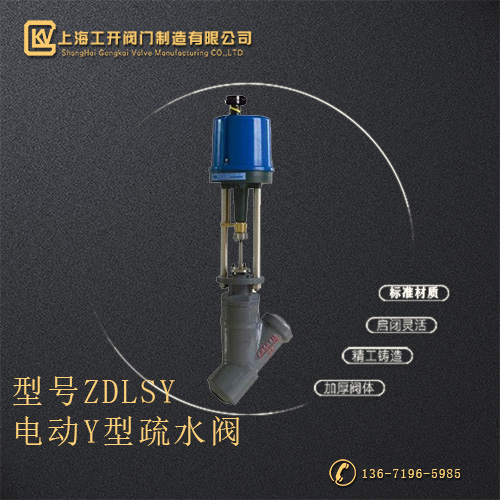 ZDLSY电动Y型疏水阀