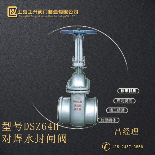 DSZ64H对焊水封闸阀