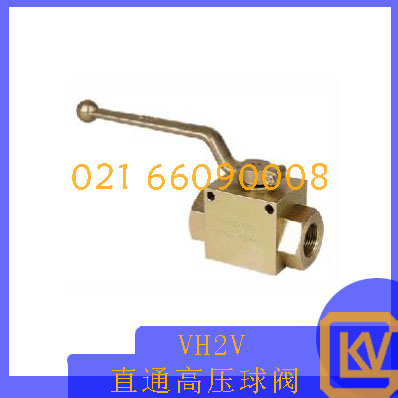 VH2V直通高压球阀