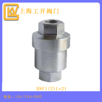 BNF1(2)Lv21热静力式疏水阀