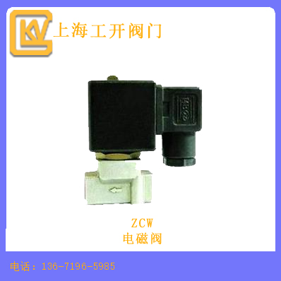 ZCW微型高压电磁阀