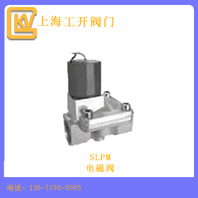SLPM电磁阀