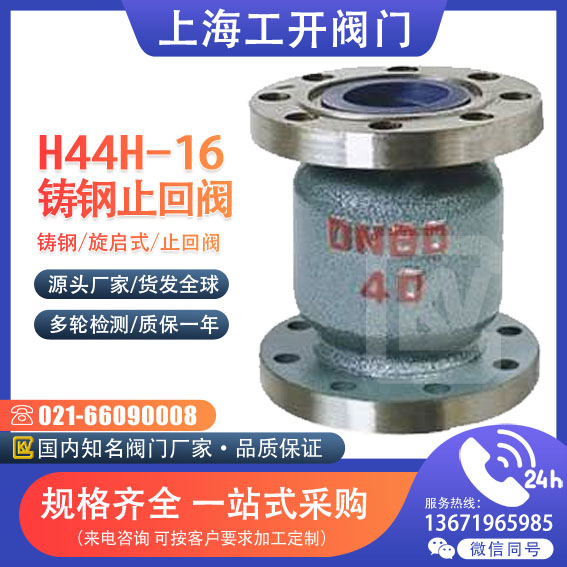 H42H -16 25C铸钢立式止回阀