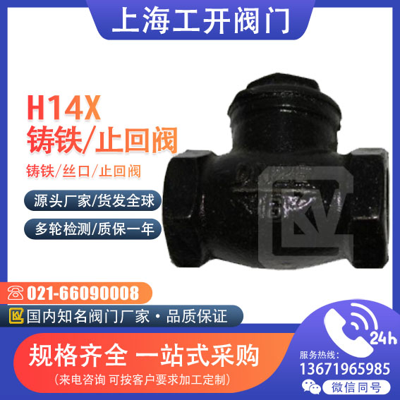 H14X-10 16铸铁丝口卧式止回阀
