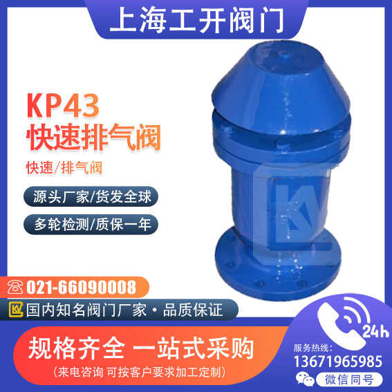 KP43-10快速排气阀