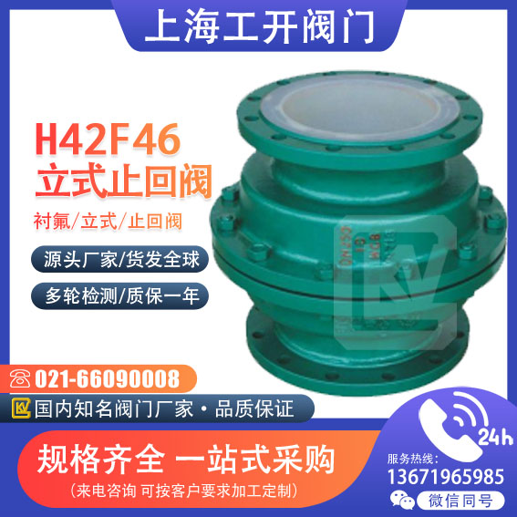H42F46-10 16 C衬氟立式止回阀