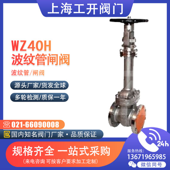WZ40H-40 型波纹管闸阀