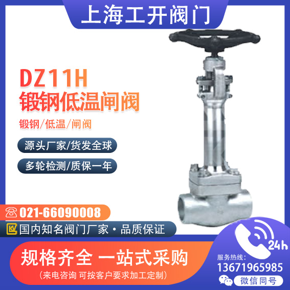 DZ11H、DZ11Y 型 150(Lb)~800(Lb) 锻钢低温闸阀